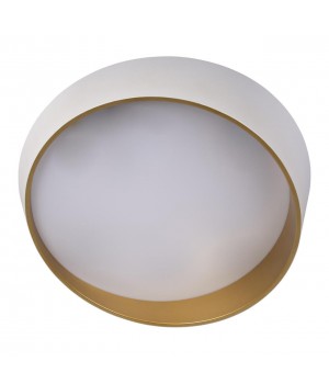 10199 White Потолочный светильник LOFT IT Coin-foto3