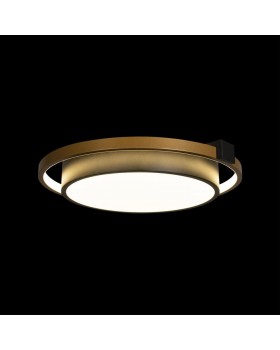 10169 Потолочный светильник LOFT IT Mike-foto4