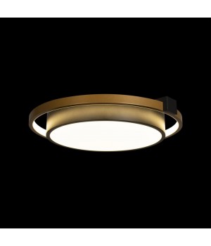 10169 Потолочный светильник LOFT IT Mike-foto4