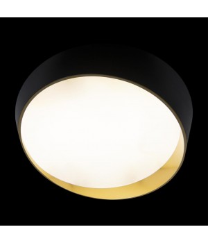 10199 Black Потолочный светильник LOFT IT Coin-foto4