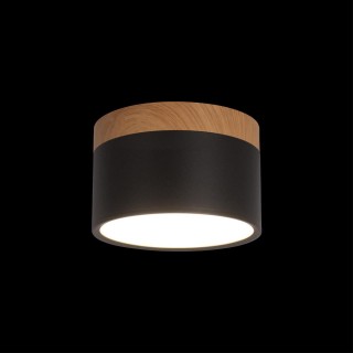 10162 Black Накладной светильник LOFT IT Grape-foto2