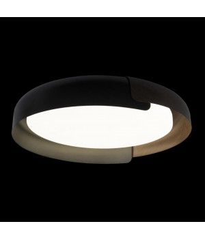 10198 Black Потолочный светильник LOFT IT Coin-foto2