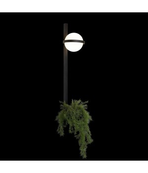 10121W/B Настенный светильник LOFT IT Jardin-foto4