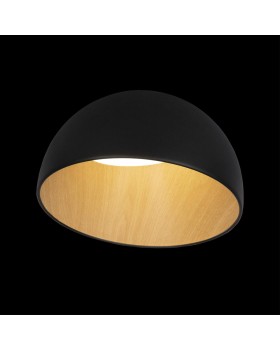 10197/350 Black Потолочный светильник LOFT IT Egg-foto2