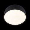 10201/350 Black Потолочный светильник LOFT IT Axel