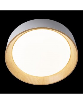 10202 White Потолочный светильник LOFT IT Coin-foto4