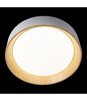 10202 White Потолочный светильник LOFT IT Coin-foto4