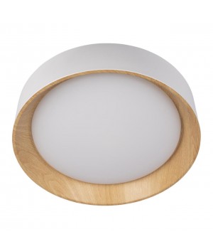 10202 White Потолочный светильник LOFT IT Coin-foto3