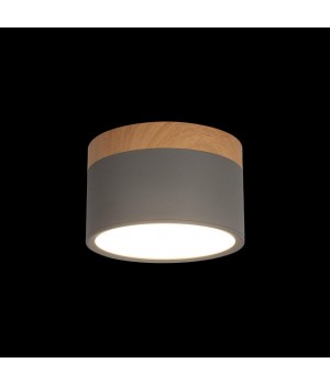 10162 Grey Накладной светильник LOFT IT Grape-foto2