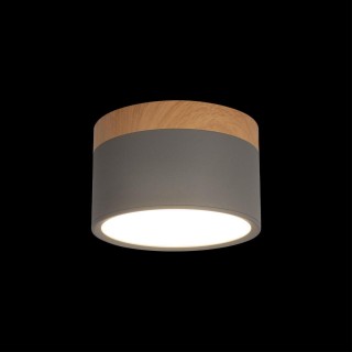 10162 Grey Накладной светильник LOFT IT Grape-foto2