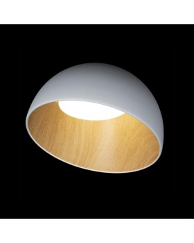 10197/350 White Потолочный светильник LOFT IT Egg-foto2