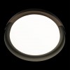 10198 Black Потолочный светильник LOFT IT Coin