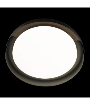 10198 Black Потолочный светильник LOFT IT Coin-foto6