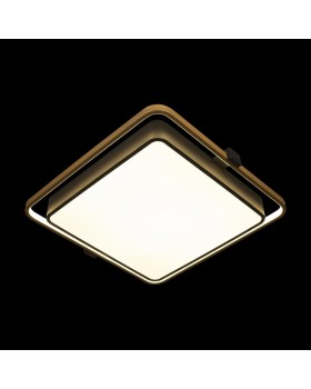 10172 Потолочный светильник LOFT IT Mike-foto2