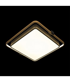 10172 Потолочный светильник LOFT IT Mike-foto2