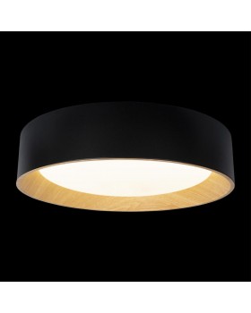 10202 Black Потолочный светильник LOFT IT Coin-foto2