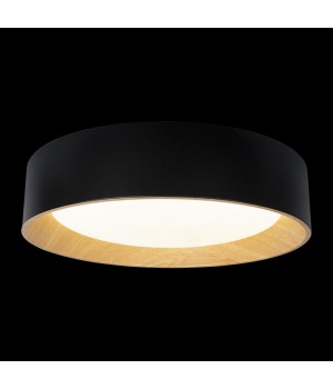 10202 Black Потолочный светильник LOFT IT Coin-foto2