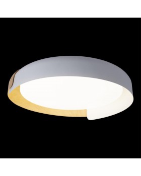 10198 White Потолочный светильник LOFT IT Coin-foto7