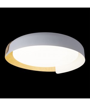 10198 White Потолочный светильник LOFT IT Coin-foto7