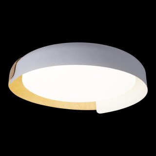 10198 White Потолочный светильник LOFT IT Coin-foto7