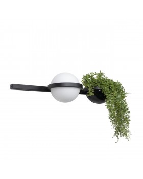 10121W/A Настенный светильник LOFT IT Jardin-foto3