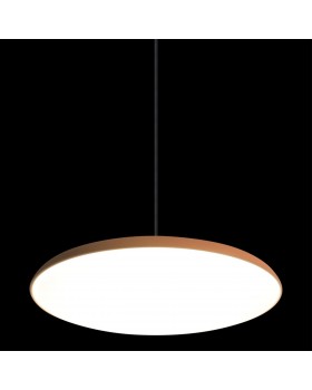 10119 Orange Подвесной светильник LOFT IT Plato-foto4