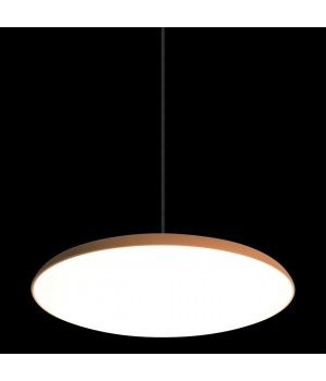 10119 Orange Подвесной светильник LOFT IT Plato-foto4