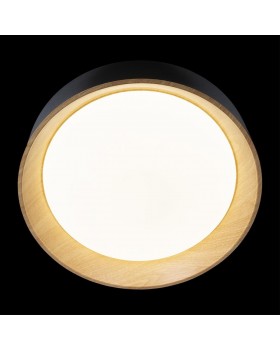 10202 Black Потолочный светильник LOFT IT Coin-foto4