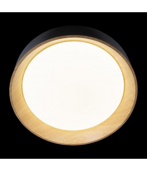 10202 Black Потолочный светильник LOFT IT Coin-foto4