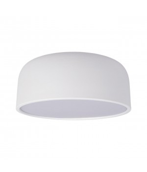 10201/350 White Потолочный светильник LOFT IT Axel