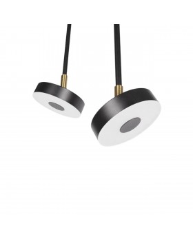 10189/1000 Потолочный светильник LOFT IT Flock-foto3