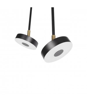 10189/1000 Потолочный светильник LOFT IT Flock-foto3