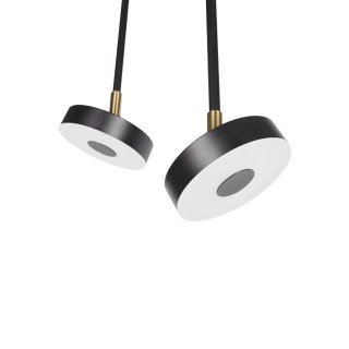 10189/1000 Потолочный светильник LOFT IT Flock-foto3