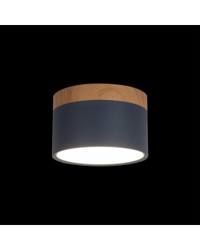 10162 Blue Накладной светильник LOFT IT Grape-foto2