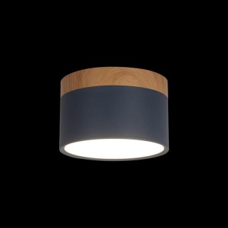 10162 Blue Накладной светильник LOFT IT Grape-foto2