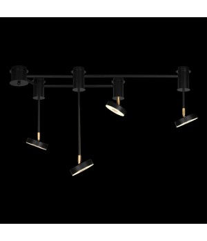 10189/1000 Потолочный светильник LOFT IT Flock-foto2