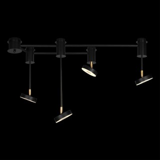 10189/1000 Потолочный светильник LOFT IT Flock-foto2