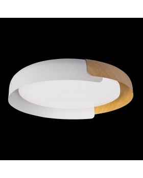 10198 White Потолочный светильник LOFT IT Coin-foto2