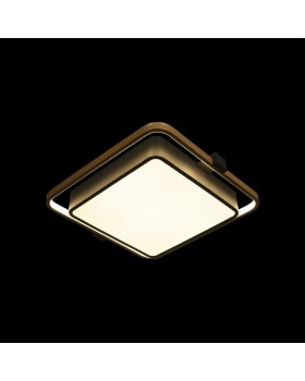 10171 Потолочный светильник LOFT IT Mike-foto2