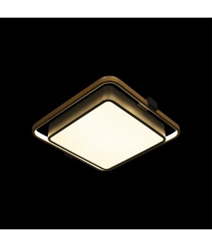 10171 Потолочный светильник LOFT IT Mike-foto2