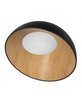 10197/500 Black Потолочный светильник LOFT IT Egg-foto3