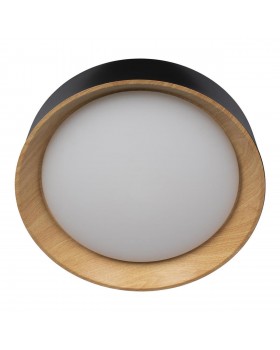 10202 Black Потолочный светильник LOFT IT Coin-foto3