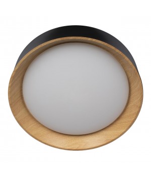 10202 Black Потолочный светильник LOFT IT Coin-foto3