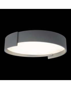 10200 Grey Потолочный светильник LOFT IT Coin-foto2