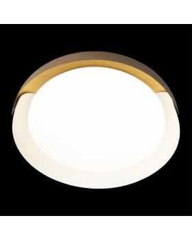 10198 White Потолочный светильник LOFT IT Coin-foto6