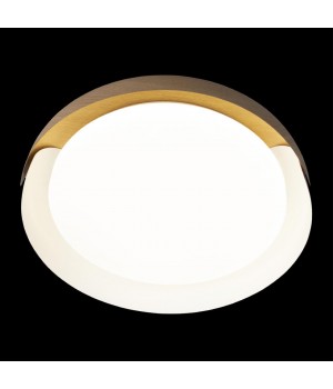 10198 White Потолочный светильник LOFT IT Coin-foto6