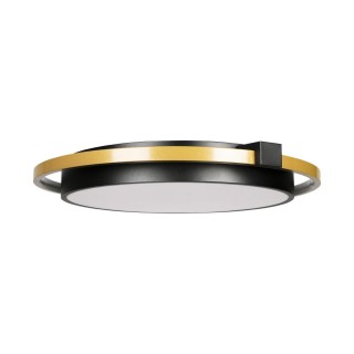 10170 Потолочный светильник LOFT IT Mike-foto3