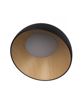 10197/350 Black Потолочный светильник LOFT IT Egg-foto3