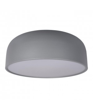 10201/480 Grey Потолочный светильник LOFT IT Axel