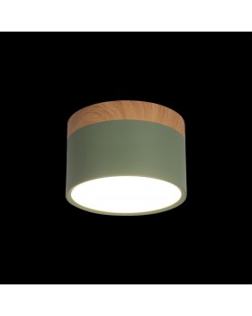 10162 Green Накладной светильник LOFT IT Grape-foto2